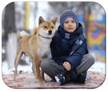 how to train a dog for autistic child