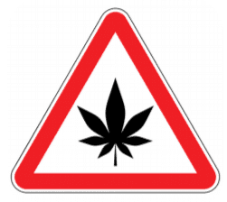 warning sign of using marijuana for autism treatment